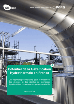The potential of hydrothermal gasification in France
