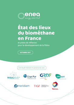 Etat des lieux du biométhane en France et voies de développement 